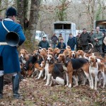 Chasse à courre (Photo: Celine Aussourd)