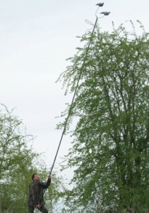 Installation du mât à pigeon dans les arbres