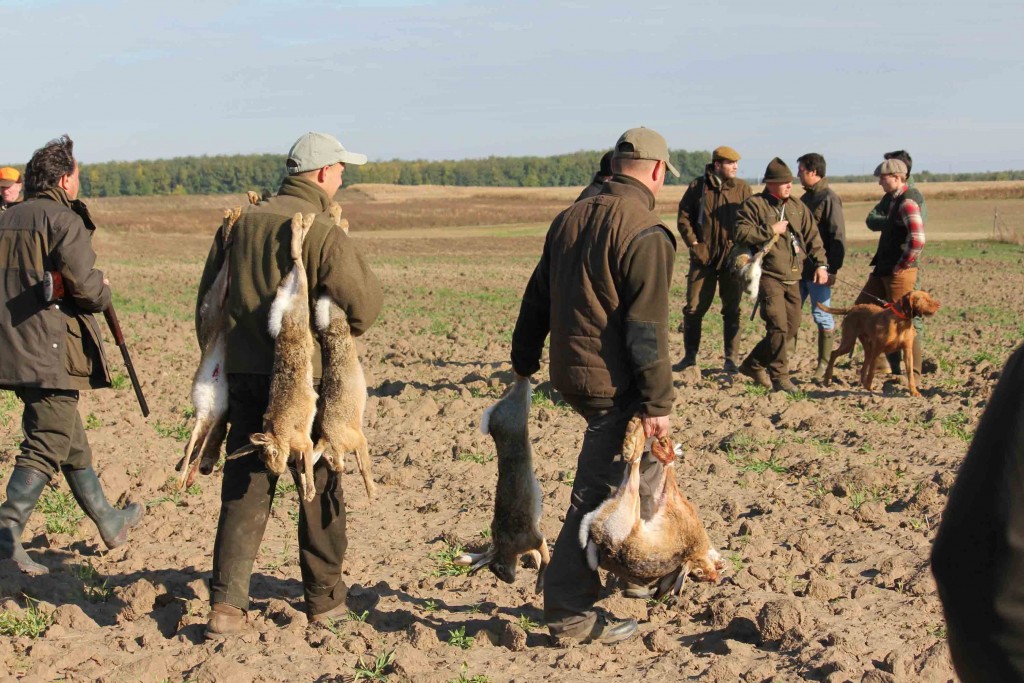 Battue aux lièvres au chaudron