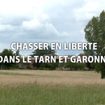 venir chasser en tarn et garonne