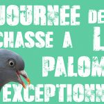 Vidéo de chasse à la palombe