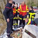 Un sanglier sous la glace, le chien miraculé