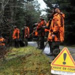 La balle d'un chasseur en battue finit dans une baie vitrée