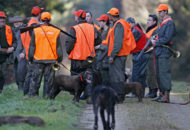 Des chasseurs en battue se regroupent