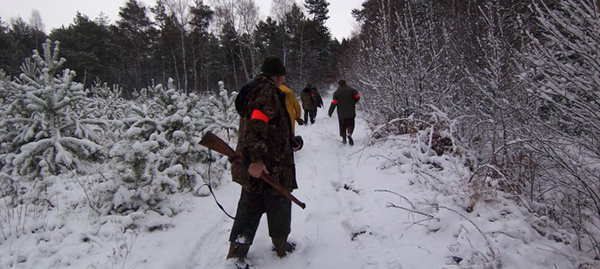 Chasseurs en battue sous la neige lors d'un voyage de chasse