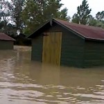 Photo de la Saligue aux Oiseaux d'Orthez sous les eaux après une inondation