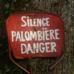 Le silence est roi à l'approche des palombières