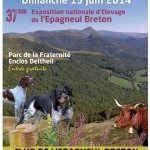 Affiche concernant la 37è exposition nationale d'Elevage de l'Epagneul Breton